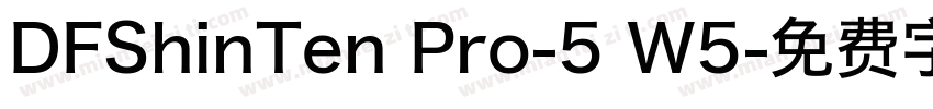 DFShinTen Pro-5 W5字体转换